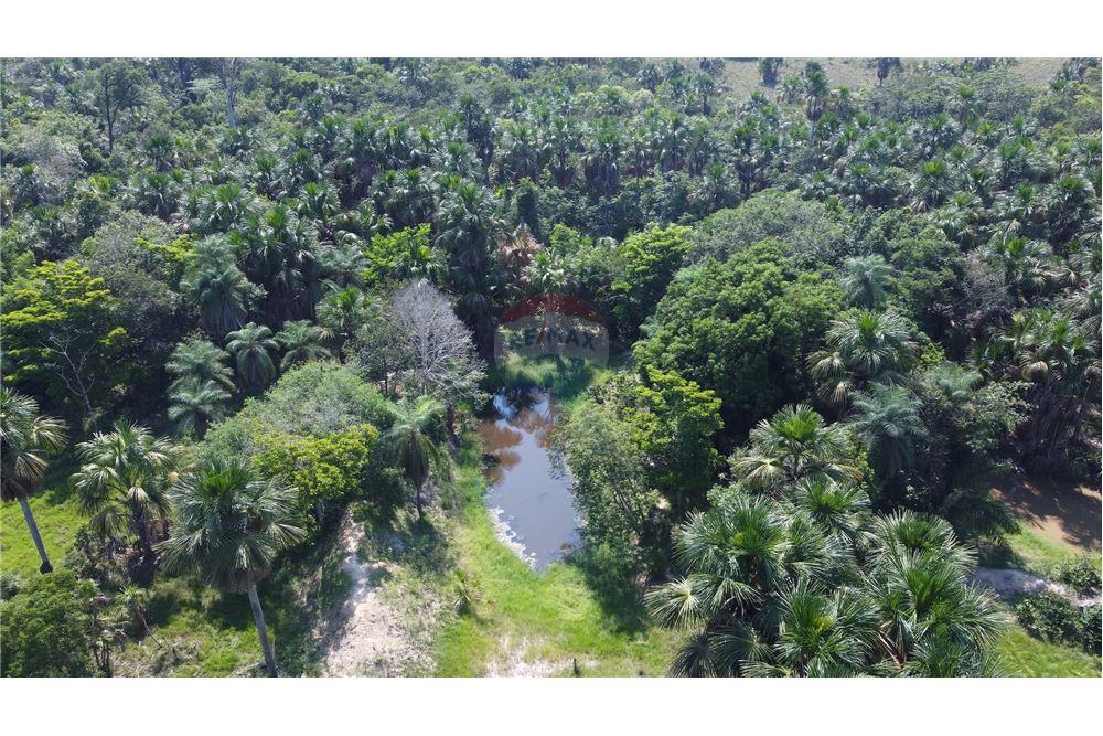 Chácara / Sítio / Fazenda - Venda - Porto Alegre do Norte , Mato Grosso - 17 - 720641031-14