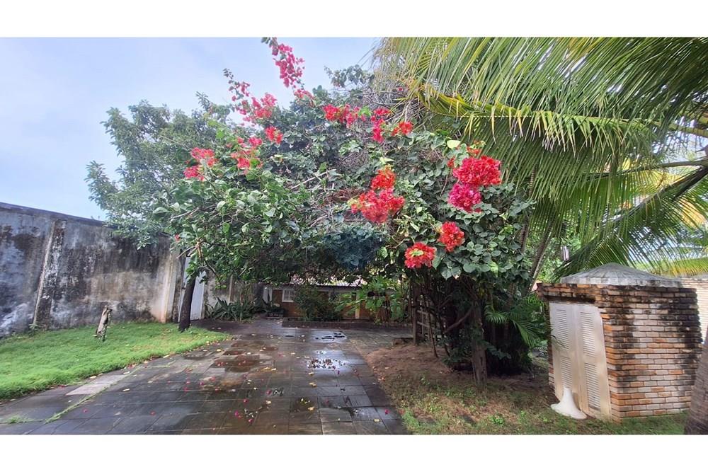 Casa - Venda - Ceará-Mirim , Rio Grande do Norte - WhatsApp Image 2025-09-24 at 13.52.09.jpeg - 720891151-59