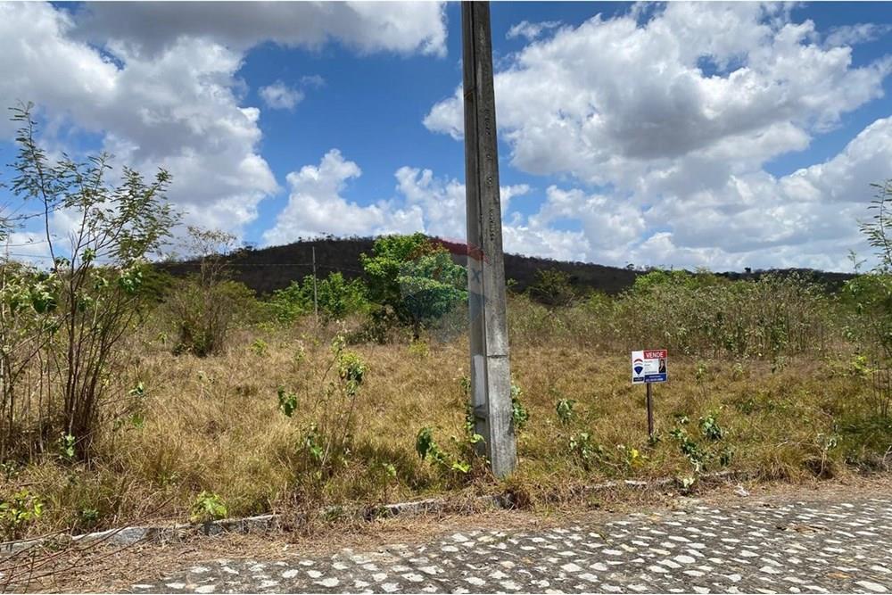 Terreno - Venda - Guarabira , Paraíba - WhatsApp Image 2024-11-19 at 14.48.44 (6).jpeg - 720551009-87