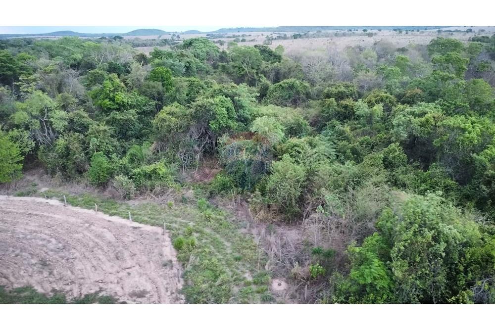 Chácara / Sítio / Fazenda - Venda - Água Boa , Mato Grosso - dji_fly_20251010_182702_138_1760131631329_photo_optimized.jpg - 722211004-26