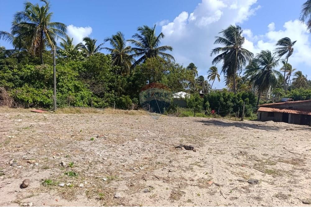 Terreno - Venda - Trairi , Ceará - WhatsApp Image 2025-08-31 at 14.07.14 (1).jpeg - 722341005-3