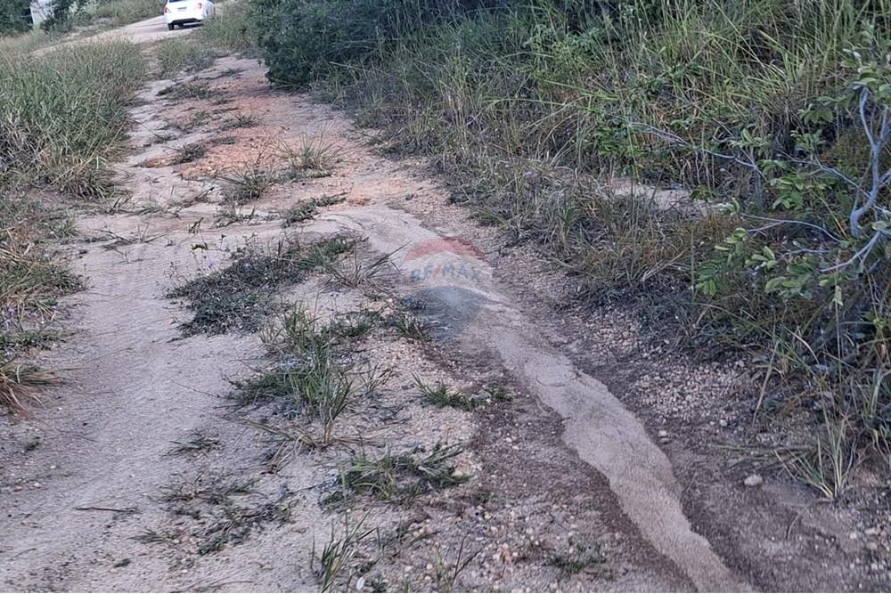 Terreno - Venda - Pitimbu , Paraíba - 968e9a95-8bed-418a-9393-d47021133c7a.jpg - 720871044-59