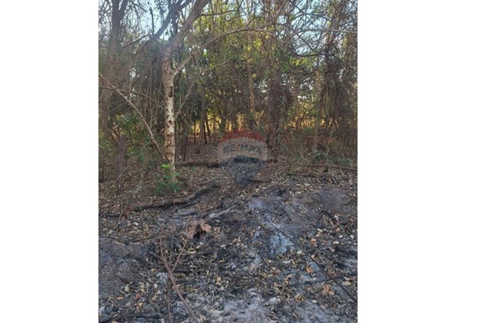 Outros - Venda - Rondonópolis , Mato Grosso - IMG-20250830-WA0125.jpg - 721981068-7