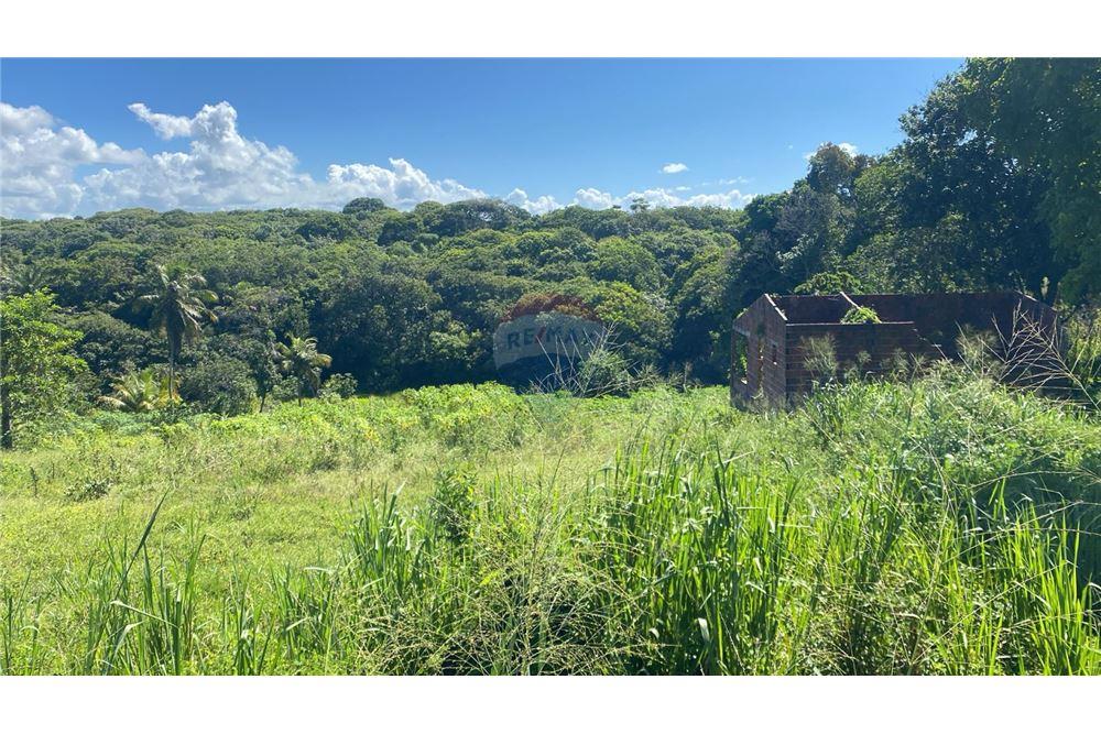 Chácara / Sítio / Fazenda - Venda - Nísia Floresta , Rio Grande do Norte - 5 - 720891068-68