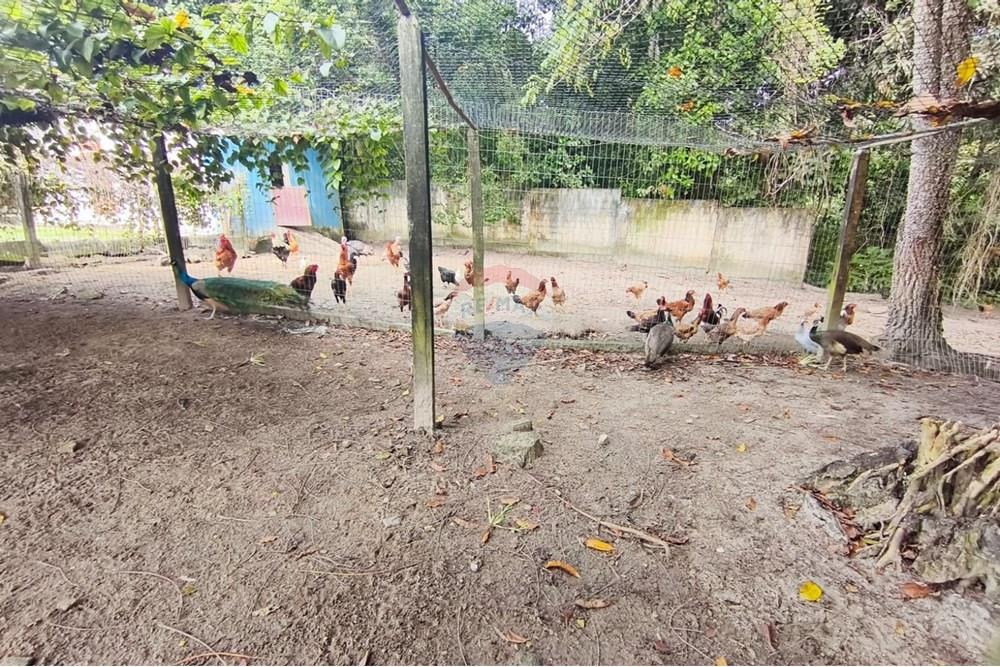 Terreno - Venda - Conde , Paraíba - a022bb0d-7522-4ab1-aca4-a9e593c93631.jpg - 720871056-25