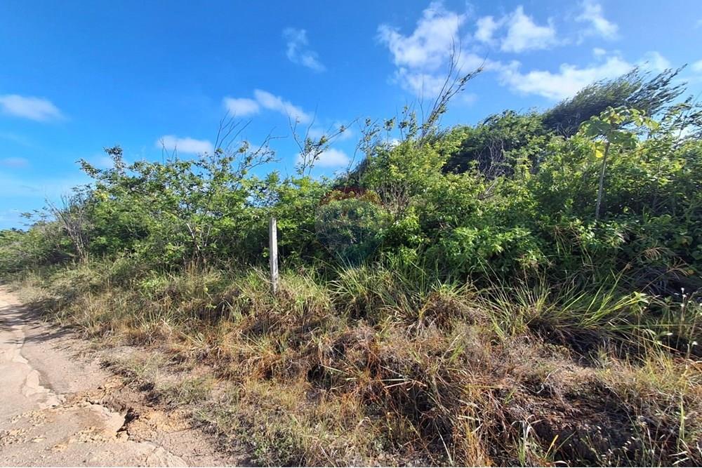 Terreno - Venda - Pitimbu , Paraíba - e9bbce58-6be5-4d17-8659-57705ac5a175 (1).jpeg - 720871044-88