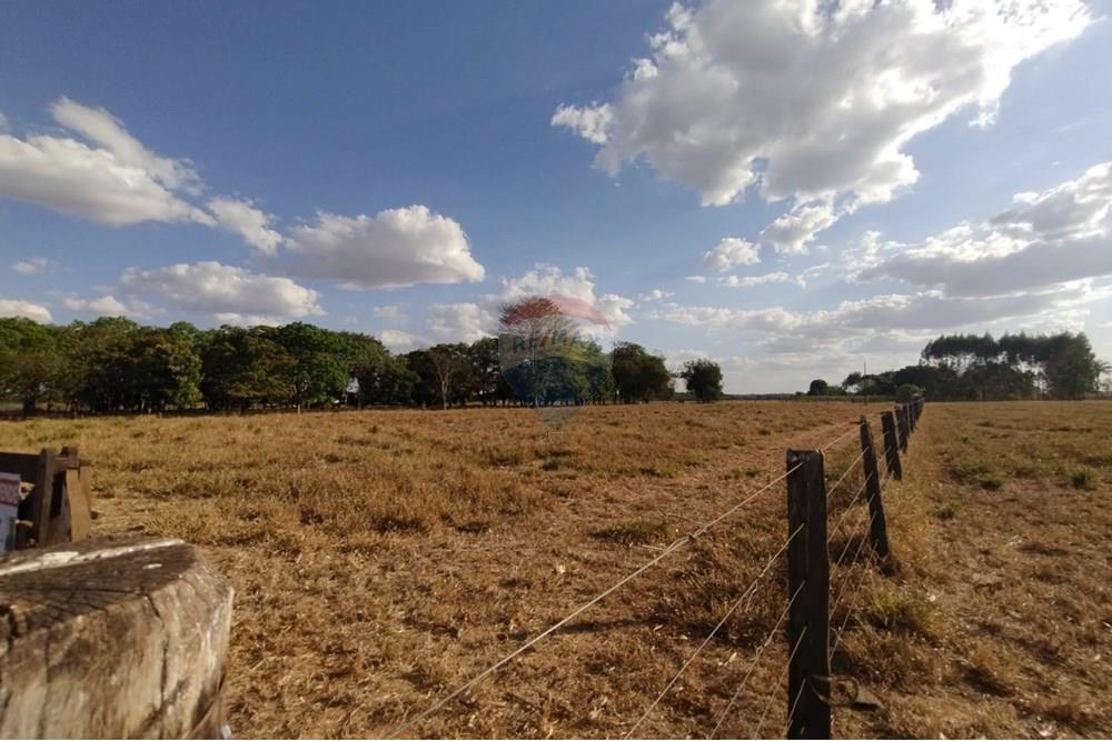 Chácara / Sítio / Fazenda - Venda - Sinop , Mato Grosso - WhatsApp Image 2025-08-07 at 14.46.12 (1).jpeg - 721561039-35