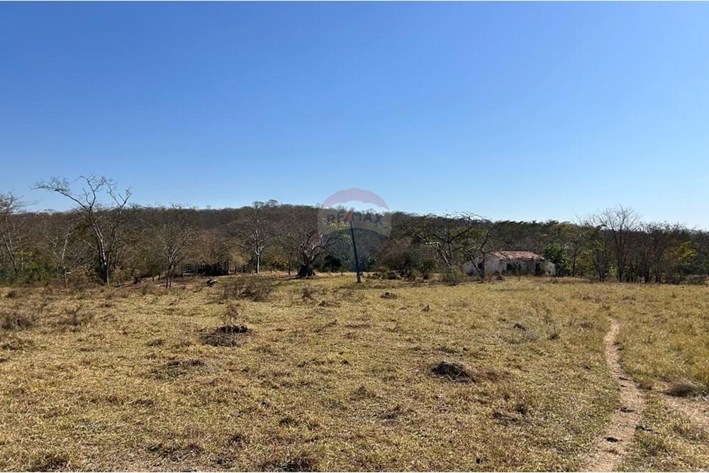 Fazenda - Venda - São José do Povo , Mato Grosso - WhatsApp Image 2025-08-20 at 09.44.08 (10).jpeg - 720561029-219