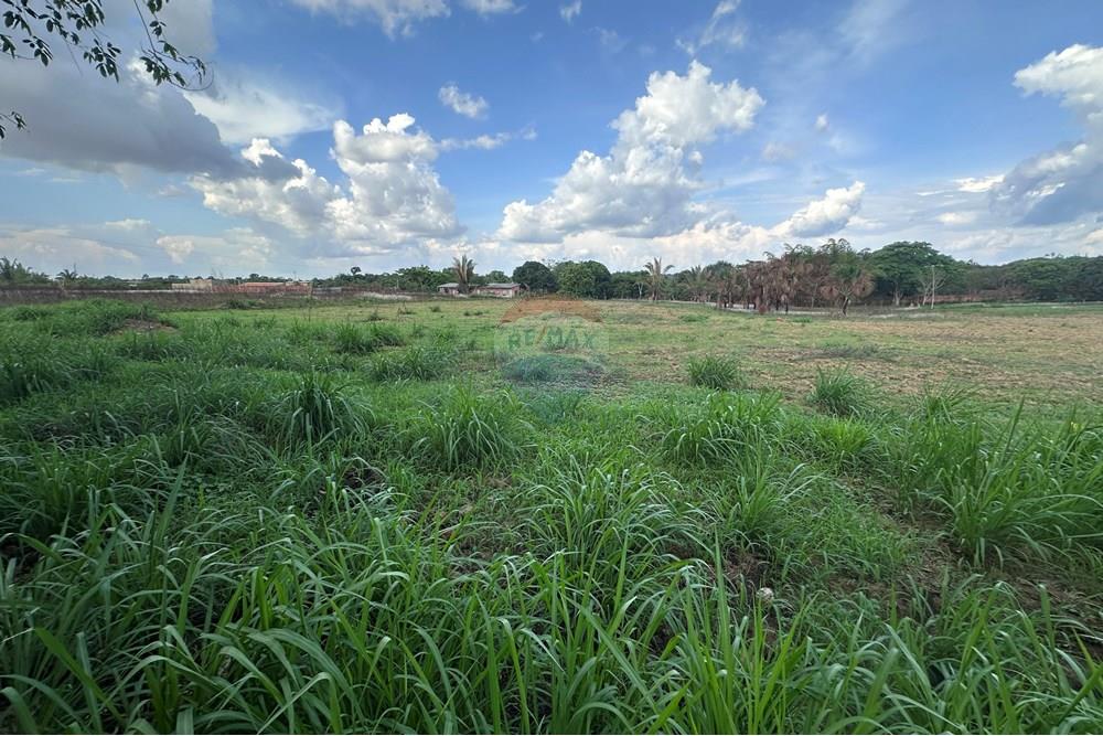 Chácara / Sítio / Fazenda - Venda - Porto Velho , Rondônia - IMG_3905.JPG - 721551076-208