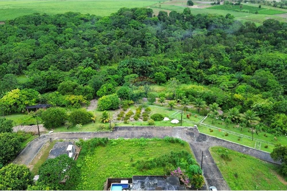 Terreno - Venda - Conde , Paraíba - dji_fly_20250521_065004_304_1747821407603_photo_optimized.jpg - 720871050-27