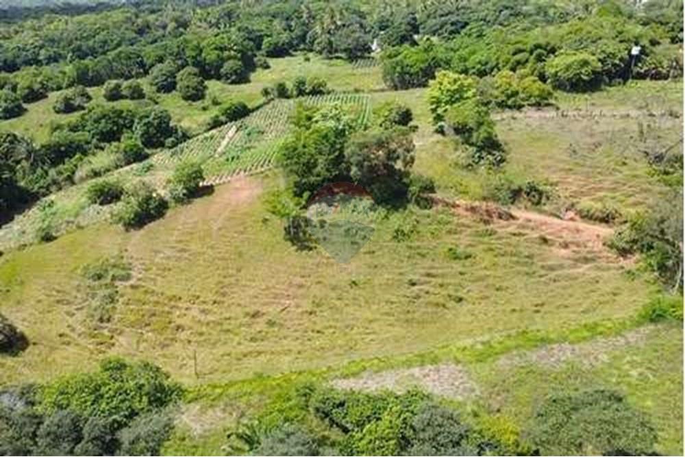 Chácara / Sítio / Fazenda - Venda - Conde , Paraíba - L_f2f71a97-8cce-4ca4-829b-18659a0aa2a6.jpg - 722011055-33