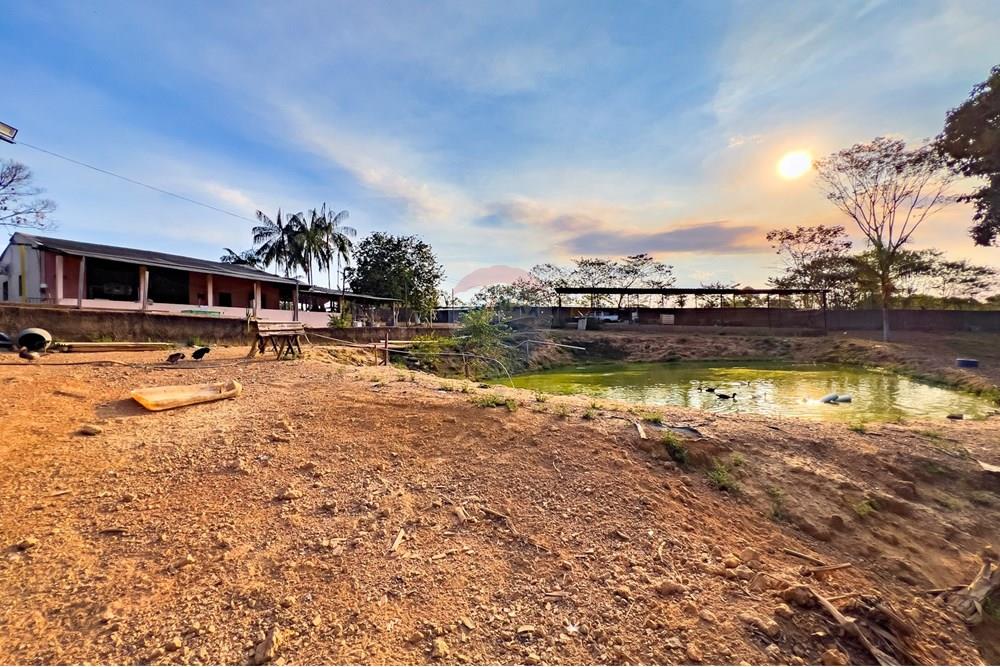 Chácara / Sítio / Fazenda - Venda - Porto Velho , Rondônia - IMG_6073.jpg - 721551039-41