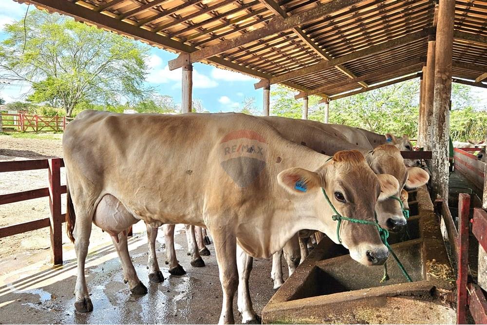 Casa de Condomínio - Venda - Macaíba , Rio Grande do Norte - 20250905_132726.jpg - 720891039-316