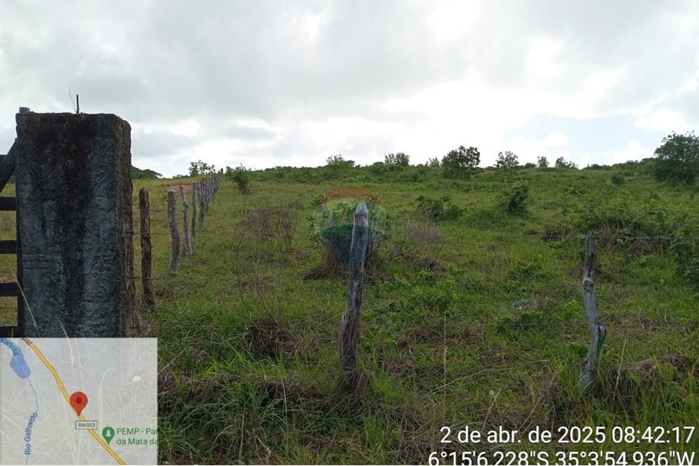 Terreno - Venda - Tibau do Sul , Rio Grande do Norte - LuizArea3.jpeg - 720891150-73
