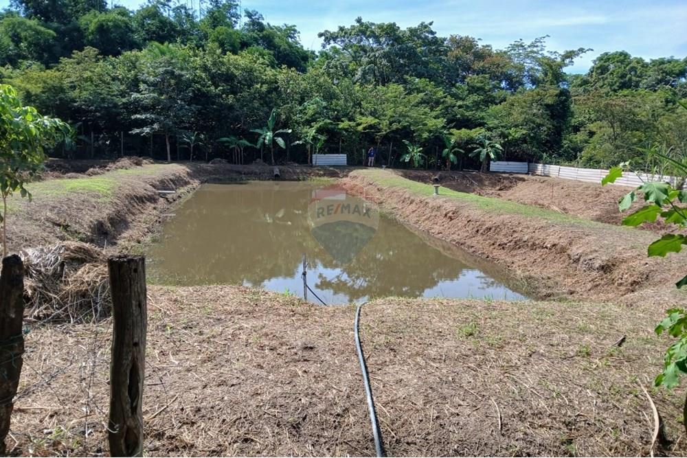 Chácara / Sítio / Fazenda - Venda - Rondonópolis , Mato Grosso - WhatsApp Image 2025-05-12 at 16.32.18 (12).jpeg - 720611007-91