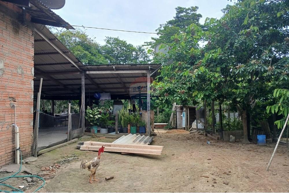 Chácara / Sítio / Fazenda - Venda - Porto Velho , Rondônia - Imagem do WhatsApp de 2025-02-12 à(s) 22.50.00_351e0391.jpg - 721551029-23