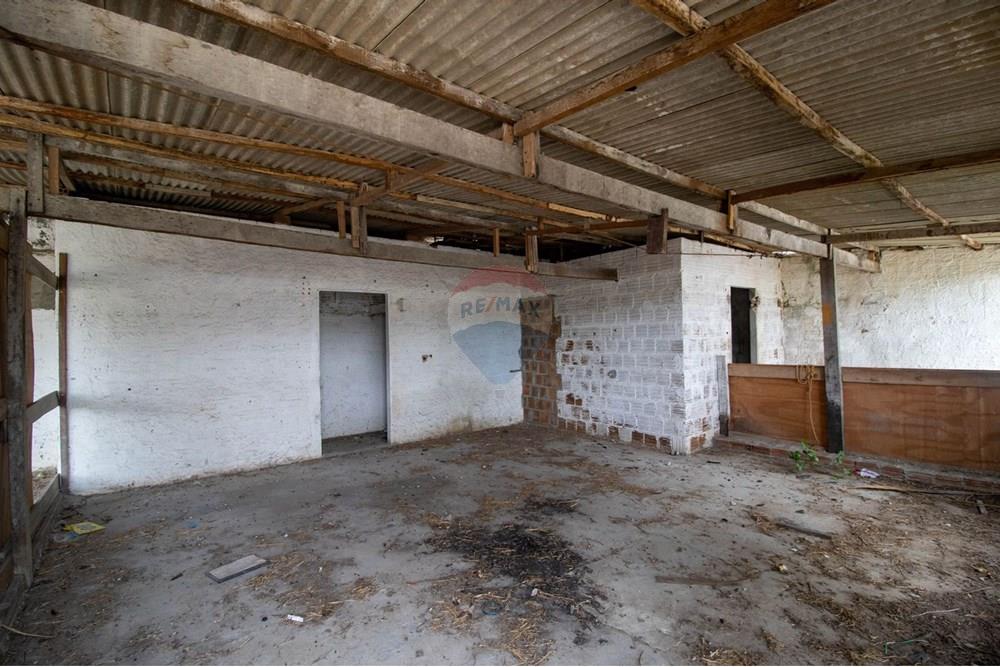 Galpão - Venda - Parnamirim , Rio Grande do Norte - WhatsApp Image 2025-03-27 at 21.45.19 (2).jpeg - 720891001-108