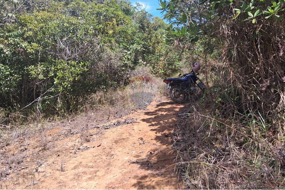 Terreno - Venda - Conde , Paraíba - c33bc91e-3cbc-48f3-99a3-df6ba20e3fa7.jpeg - 720871044-33