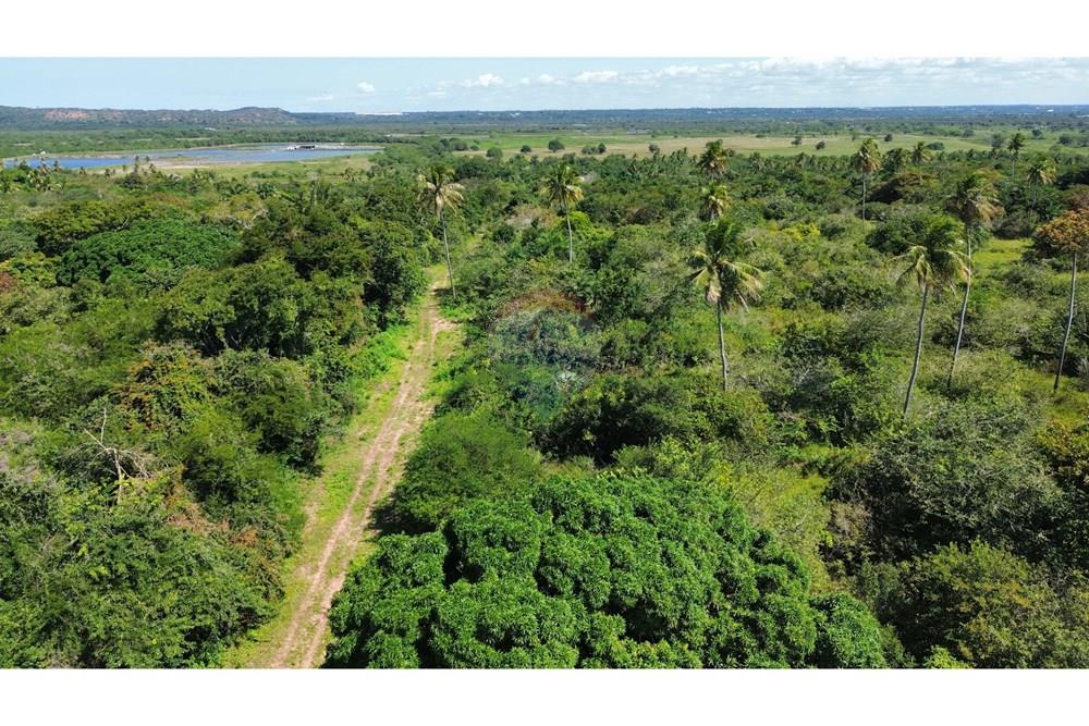 Terreno - Venda - São Gonçalo do Amarante , Rio Grande do Norte - WhatsApp Image 2025-09-09 at 11.00.09 (3).jpeg - 720621066-81