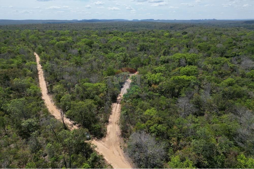 Agro - Venda - Carolina , Maranhão - WhatsApp Image 2025-08-28 at 17.45.08.jpeg - 720991042-3