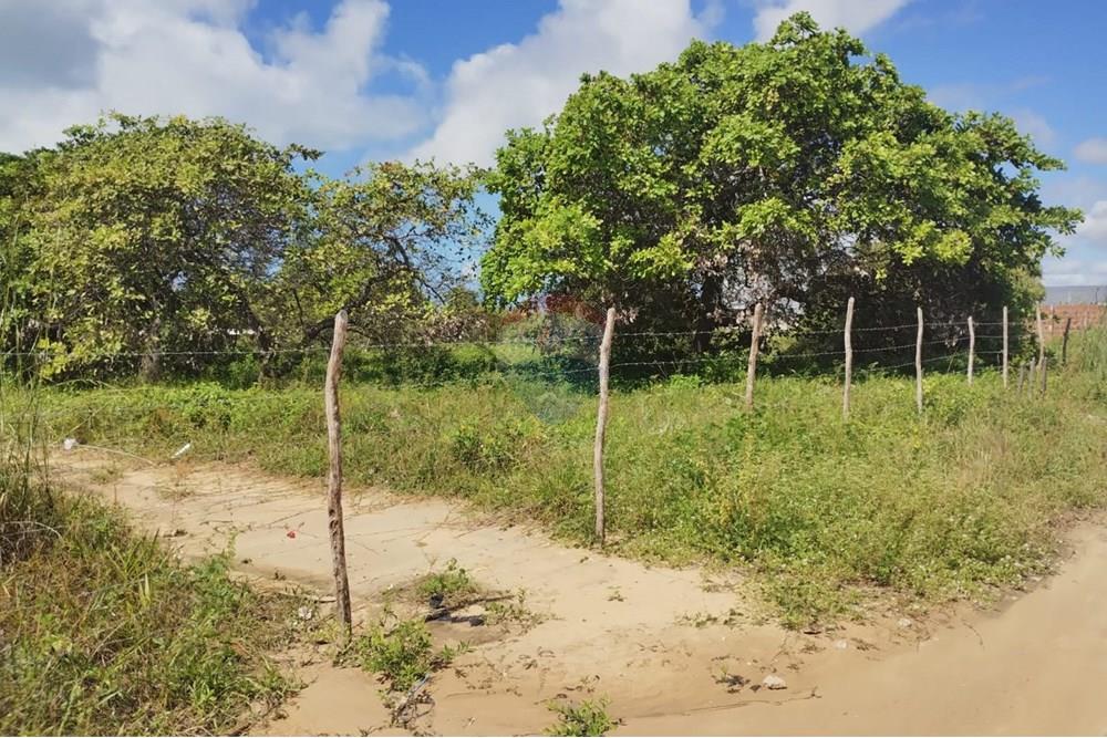 Terreno - Venda - Conde , Paraíba - 63950be5-f12c-415e-bae1-ef31c82eb005.jpg - 720871056-11