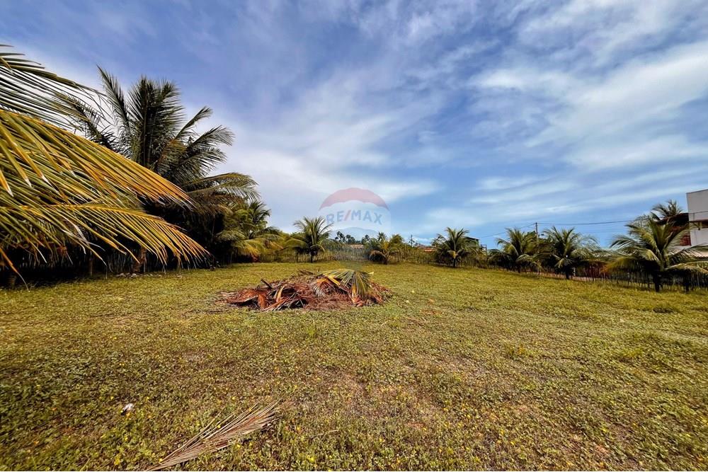 Terreno - Venda - Touros , Rio Grande do Norte - WhatsApp Image 2025-09-23 at 18.40.31.jpeg - 720891024-232