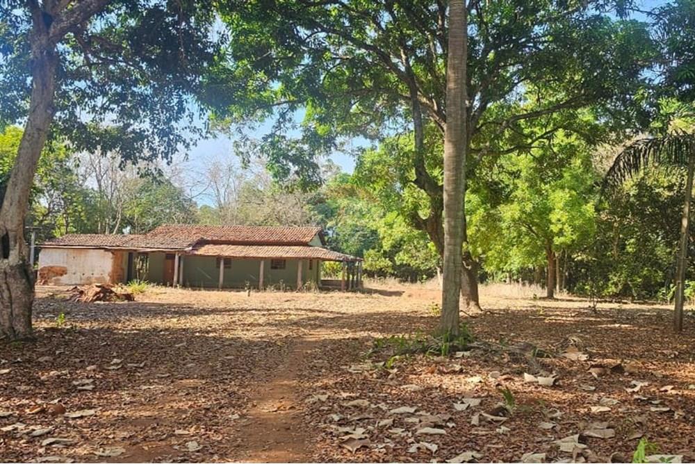Chácara / Sítio / Fazenda - Venda - Araguaína , Tocantins - WhatsApp Image 2025-08-06 at 14.32.28 (2).jpeg - 722171039-19