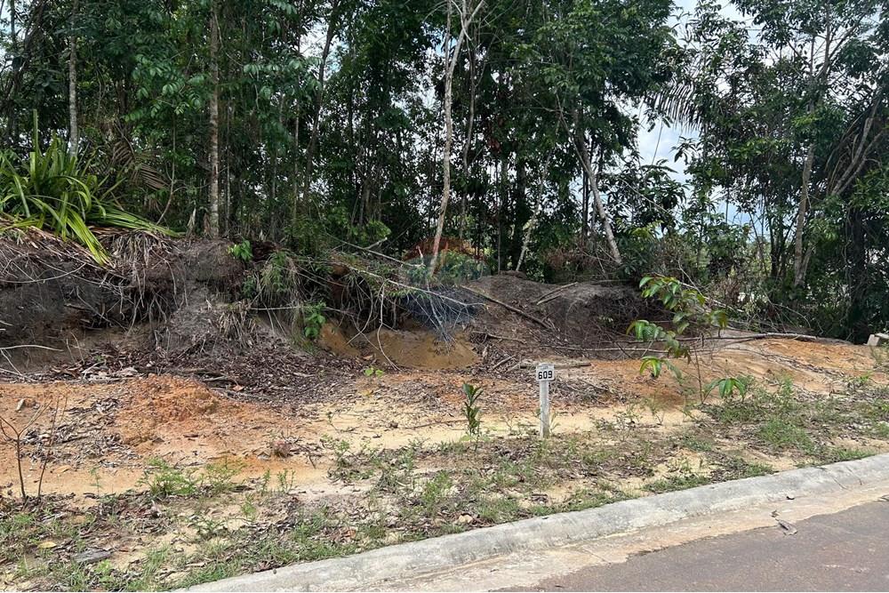 Terreno - Venda - Manaus , Amazonas - WhatsApp Image 2024-12-20 at 12.00.12 (2).jpeg - 720721025-36