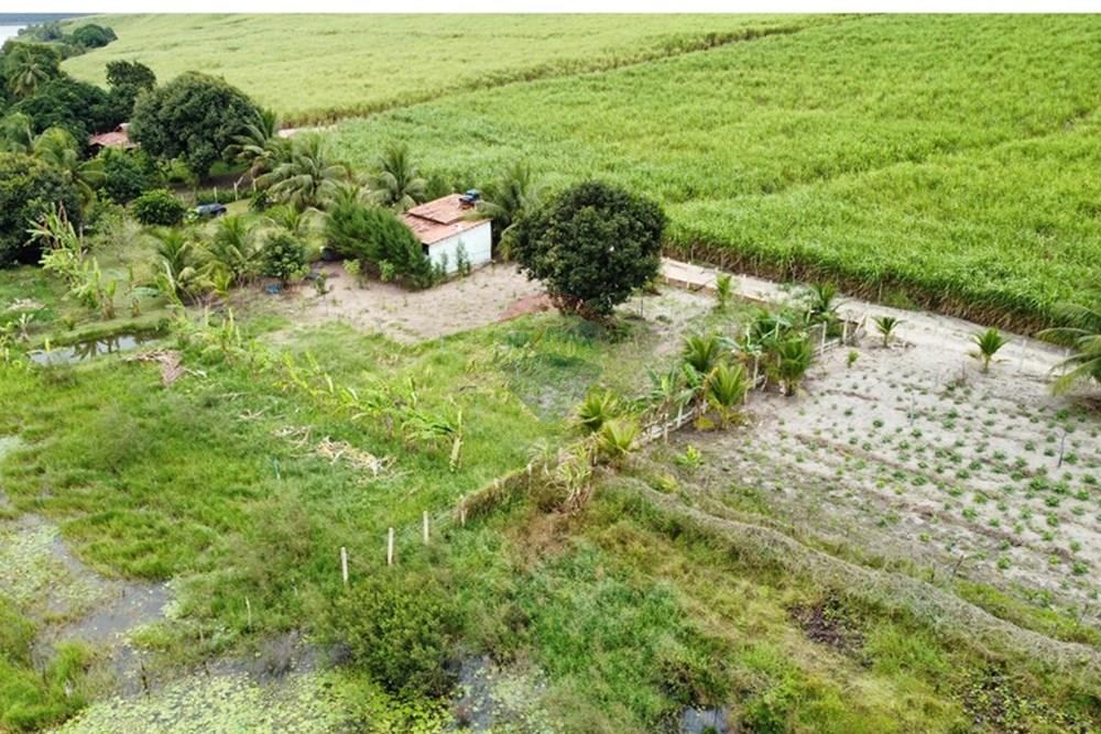 Chácara / Sítio / Fazenda - Venda - Alhandra , Paraíba - dji_fly_20250907_152012_885_1757269221610_photo_optimized.jpg - 722011055-48