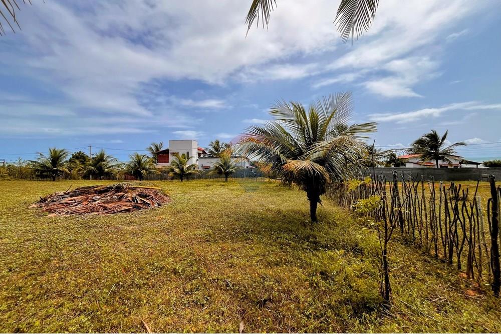 Terreno - Venda - Touros , Rio Grande do Norte - WhatsApp Image 2025-09-23 at 18.40.45.jpeg - 720891024-232
