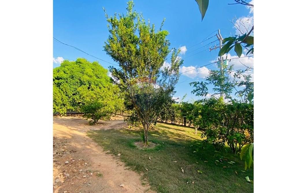 Chácara / Sítio / Fazenda - Venda - Parauapebas , Pará - IMG-20250908-WA0131.jpg - 722021013-13