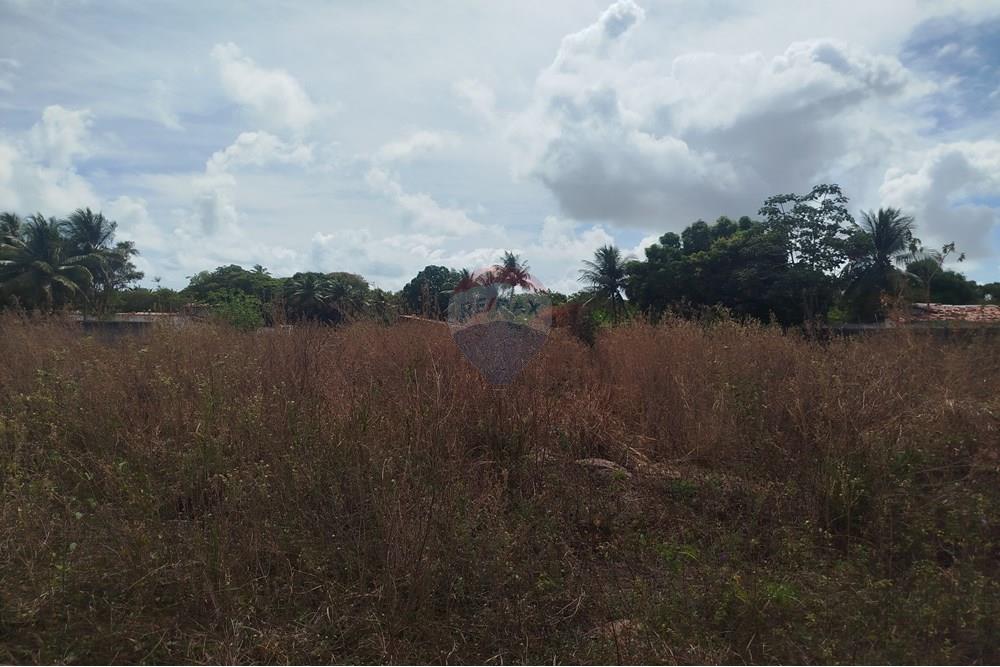 Terreno - Venda - Nísia Floresta , Rio Grande do Norte - WhatsApp Image 2024-11-22 at 21.32.42 (2).jpeg - 720891013-74