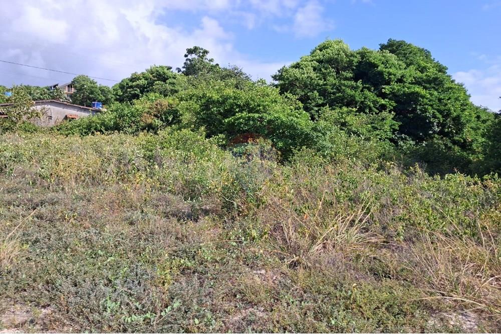 Terreno - Venda - Conde , Paraíba - bf74904b-7aab-4a92-9346-bb7009bf4d3b.jpeg - 720871044-69