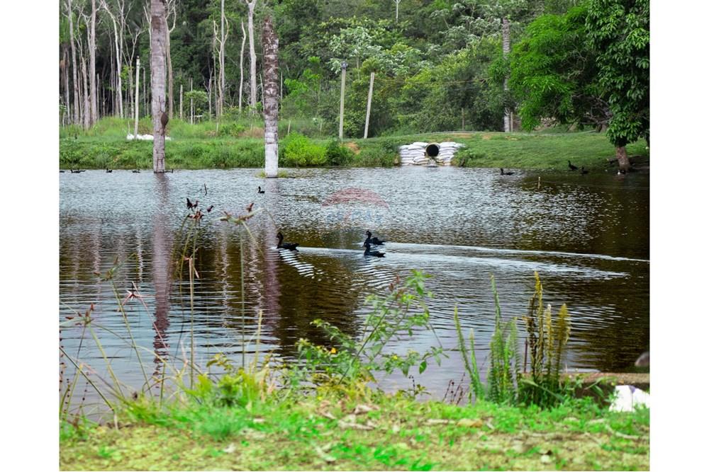 Chácara / Sítio / Fazenda - Venda - Novo Airão , Amazonas - IMG_7372.jpg - 720721055-29