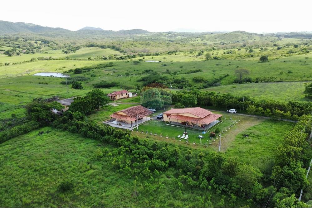 Chácara / Sítio / Fazenda - Venda - Riachão do Bacamarte , Paraíba - dji_fly_20250215_150428_476_1739642683110_photo_optimized.jpg - 722011055-39