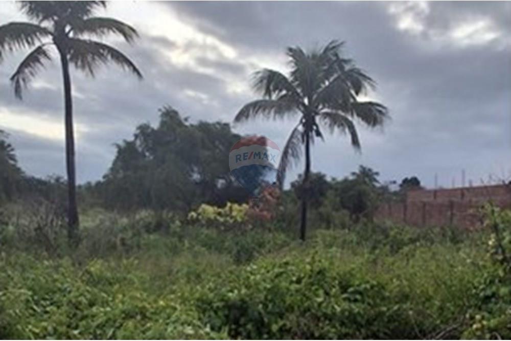 Terreno - Venda - Pitimbu , Paraíba - d6790387-d42c-4a26-a349-25021024aef6.jpeg - 720871044-85