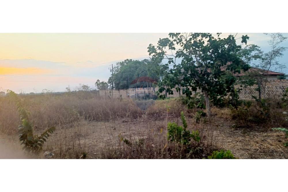 Terreno - Venda - Porto Alegre do Norte , Mato Grosso - 20da60e0-ddff-4787-a3b7-5479e2c002d4.jpg - 720641031-27