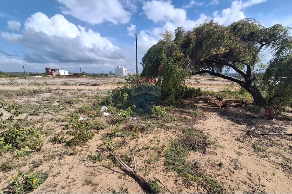 Terreno - Venda - Conde , Paraíba - 4f325f7f-47e0-4324-9549-412285b1a874.jpeg - 720871044-38