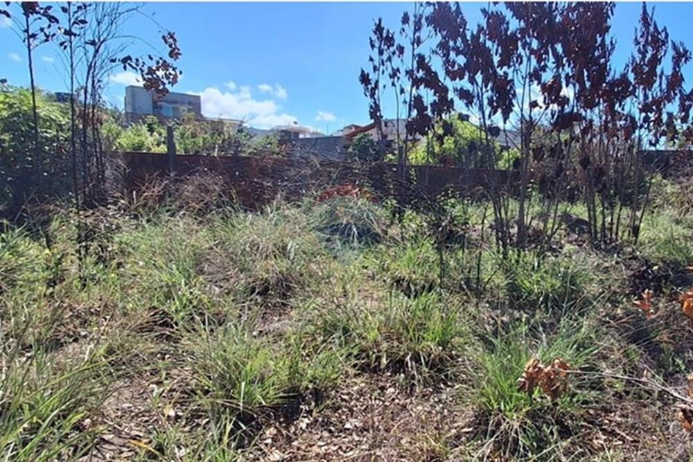 Terreno - Venda - Conde , Paraíba - 0c7e2dfb-6711-44d4-b28c-68433a57a3c3 (1).jpeg - 720871044-68