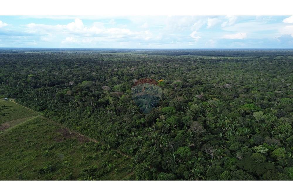 Chácara / Sítio / Fazenda - Venda - Canutama , Amazonas - DJI_0065.JPG - 721551016-61