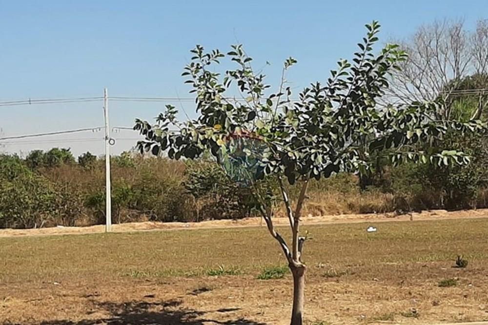 Terreno - Venda - Rondonópolis , Mato Grosso - WhatsApp Image 2025-05-28 at 09.06.35.jpeg - 720611007-107