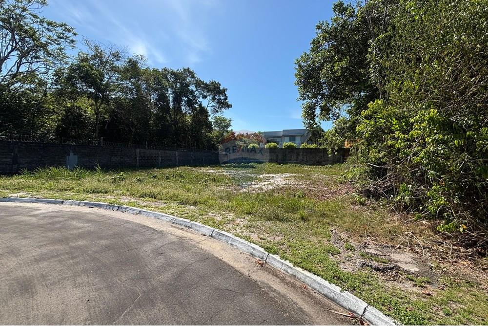 Terreno - Venda - Manaus , Amazonas - WhatsApp Image 2025-08-01 at 09.08.24.jpeg - 720791062-49