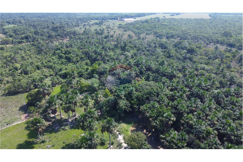 Chácara / Sítio / Fazenda - Venda - Porto Alegre do Norte , Mato Grosso - 10 - 720641031-14