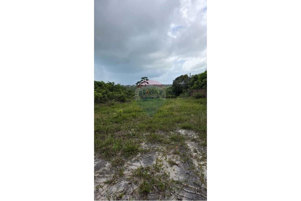 Chácara / Sítio / Fazenda - Venda - Conde , Paraíba - de0e43b3-e8ef-4ff8-8dd6-1eb8ff1b6ea3.jpg - 720871061-12