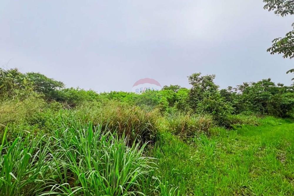 Terreno - Venda - Manaus , Amazonas - Captura de tela 2025-03-14 182713_pages-to-jpg-0012.jpg - 720661004-49