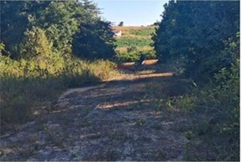 Terreno - Venda - Pitimbu , Paraíba - dbe8c8d5-23dd-4635-9396-403d54f800c2.jpeg - 720871044-83