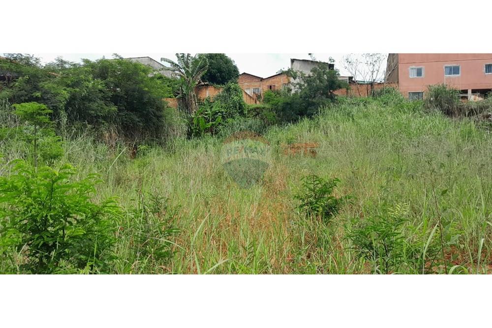 Terreno - Venda - Goiânia , Goiás - LOTE. (3).JPEG.jpg - 722271015-17