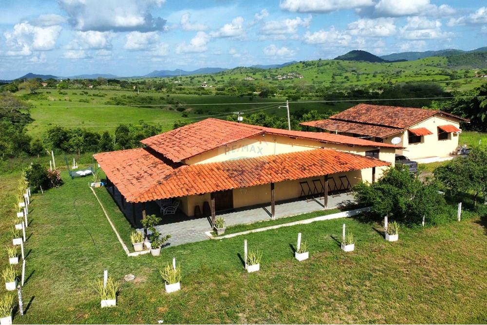 Chácara / Sítio / Fazenda - Venda - Riachão do Bacamarte , Paraíba - dji_fly_20250215_150336_472_1739642661085_photo_optimized.jpg - 722011055-39