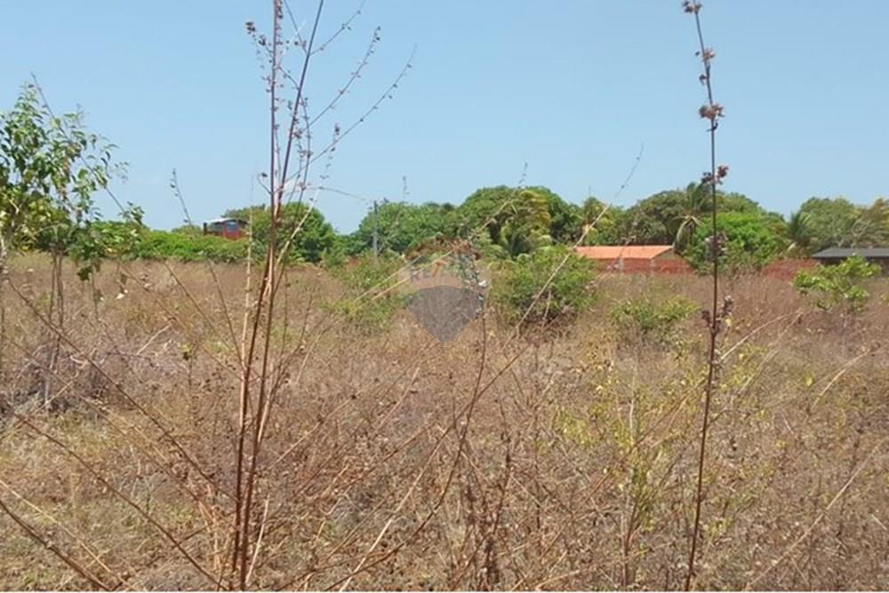 Terreno - Venda - Beberibe , Ceará - WhatsApp Image 2025-09-10 at 11.55.27 (1).jpeg - 721621165-53