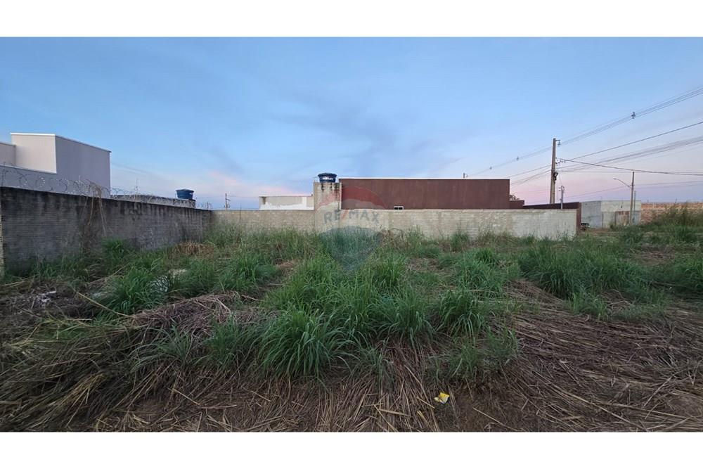 Terreno - Venda - Confresa , Mato Grosso - IMG-20250515-WA0426.jpg - 720641029-47